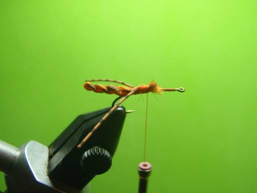 FOTW - Furled extended body October caddis