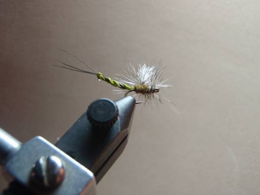 FOTW - Ducks green drake