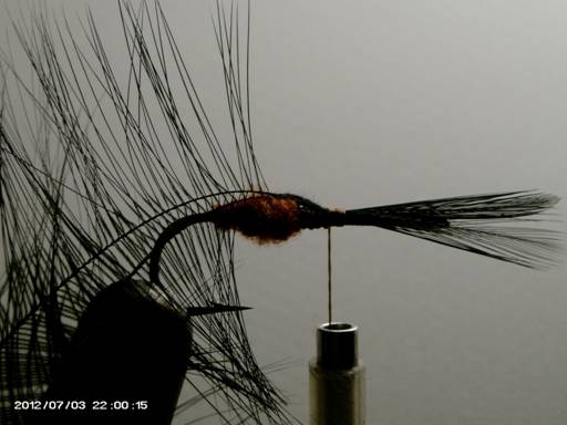 FOTW - Wasp pattern