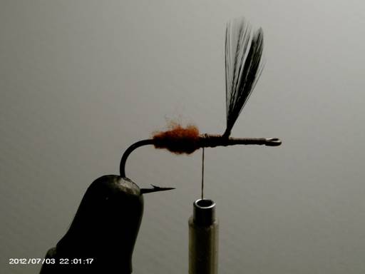 FOTW - Wasp pattern