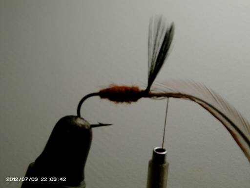 FOTW - Wasp pattern