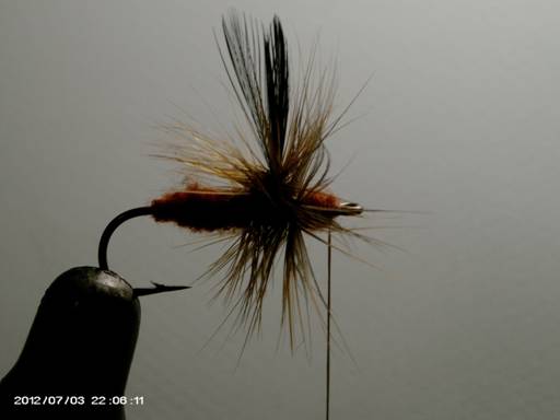 FOTW - Wasp pattern