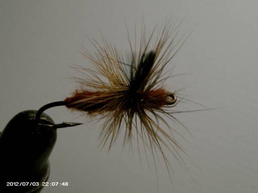 FOTW - Wasp pattern