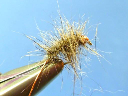 FOTW- Korn's Scud