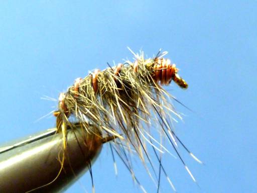 FOTW- Korn's Scud
