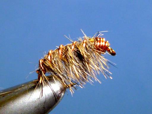 FOTW- Korn's Scud
