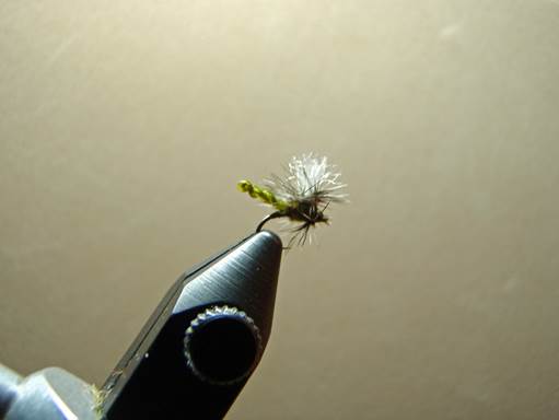 fotw 20121119