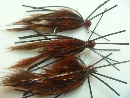 pine squirrel crawfish FOTW