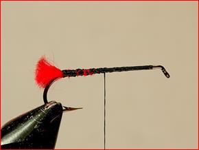 FOTW- Kapok Hopper