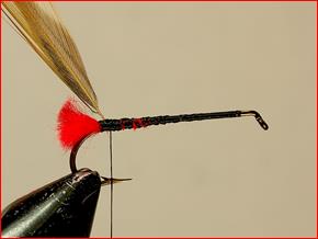 FOTW- Kapok Hopper