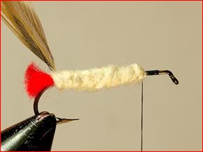 FOTW- Kapok Hopper