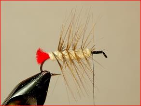 FOTW- Kapok Hopper
