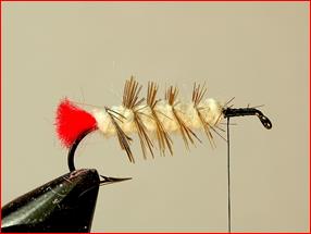 FOTW- Kapok Hopper