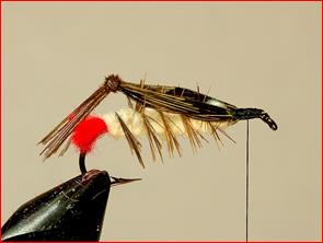 FOTW- Kapok Hopper