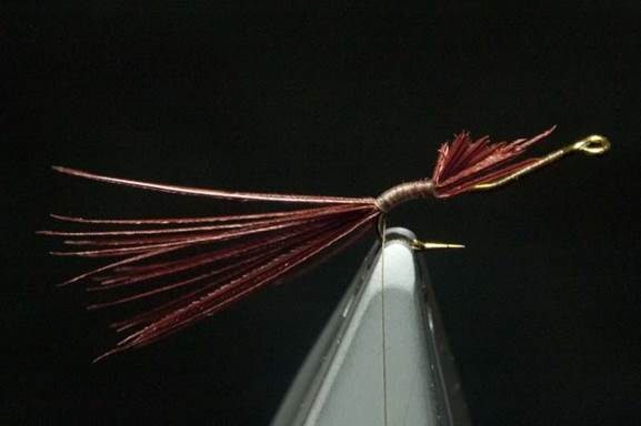 Reverse tied by colour nymph