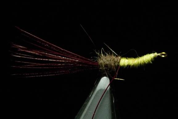 Reverse tied by colour nymph