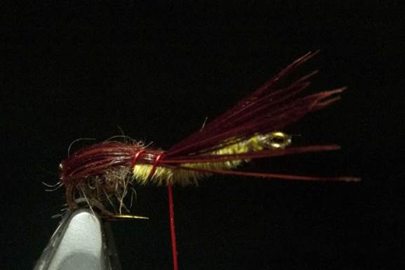 Reverse tied by colour nymph