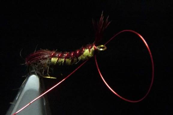 Reverse tied by colour nymph