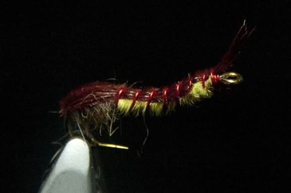 Reverse tied by colour nymph