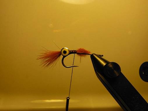 Weighted Crawfish FOTW