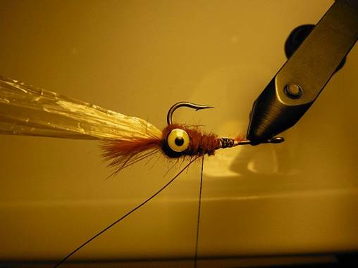 Weighted Crawfish FOTW