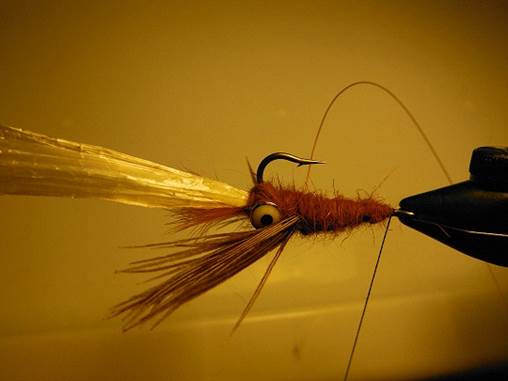 Weighted Crawfish FOTW