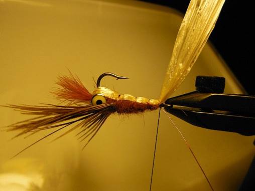 Weighted Crawfish FOTW