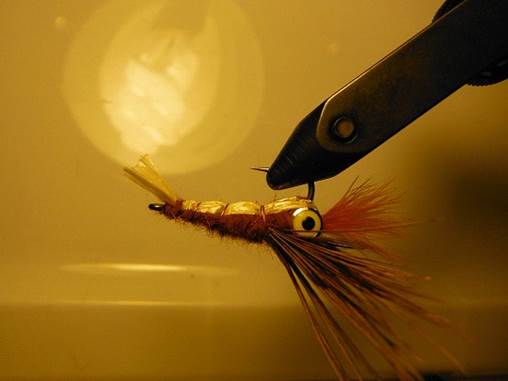 Weighted Crawfish FOTW