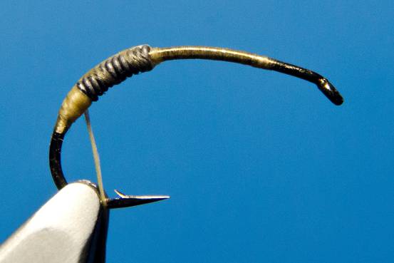 FOTW- Ribbon Caddis