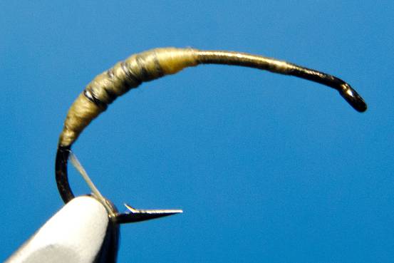 FOTW- Ribbon Caddis