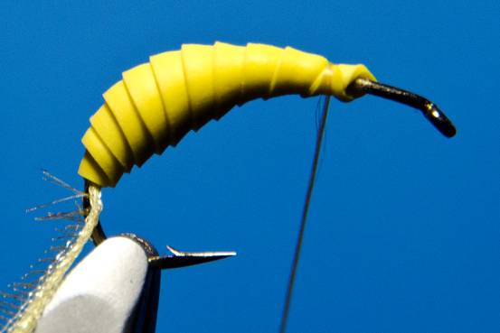 FOTW- Ribbon Caddis