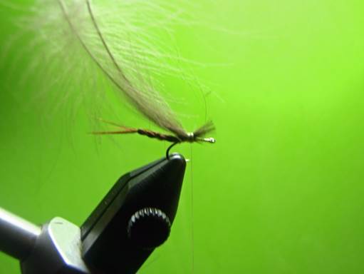 Serendipitous PMD Emergers