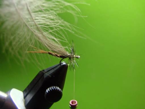 Serendipitous PMD Emergers