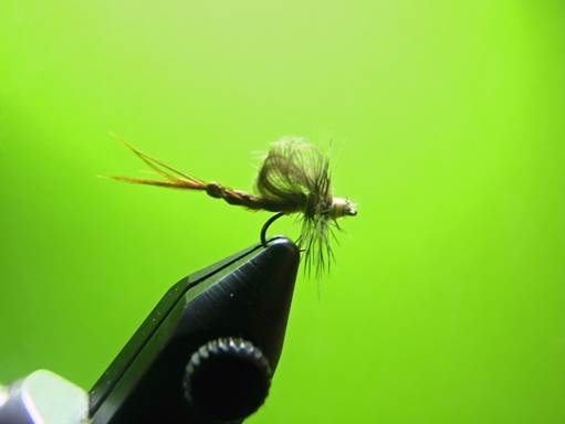 Serendipitous PMD Emergers