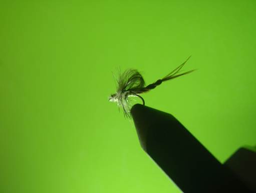 Serendipitous PMD Emergers
