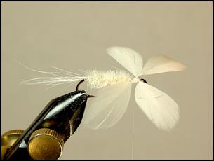 Madsen's Hex Spinner