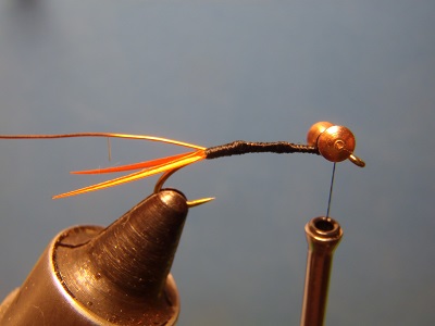 copper nymph