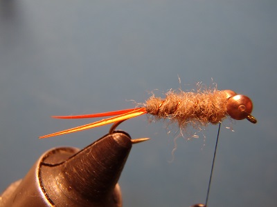 copper nymph
