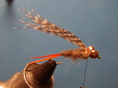 copper nymph