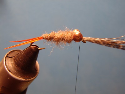 copper nymph