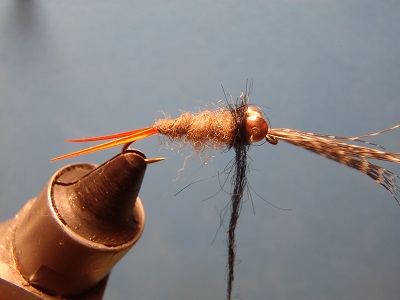 copper nymph