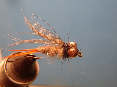 copper nymph