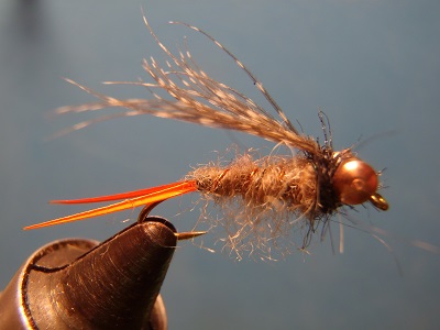 copper nymph