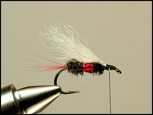 The Betty