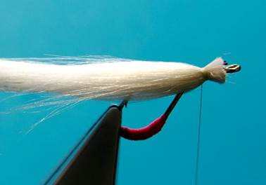bend back sand eel