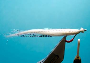 bend back sand eel