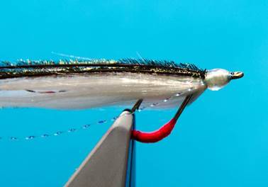 bend back sand eel
