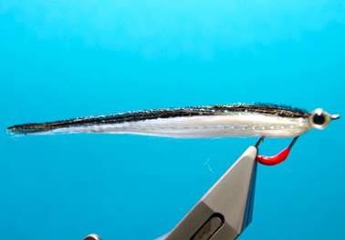 bend back sand eel
