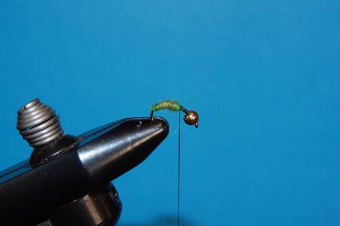 FOTW - REC