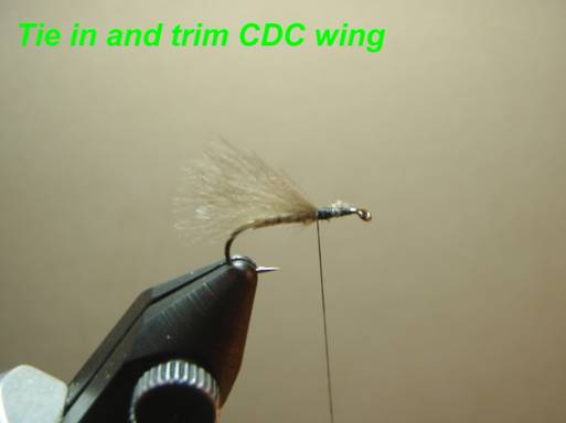 Harrops Henrys fork caddis - Fly of the week - July 5, 2010